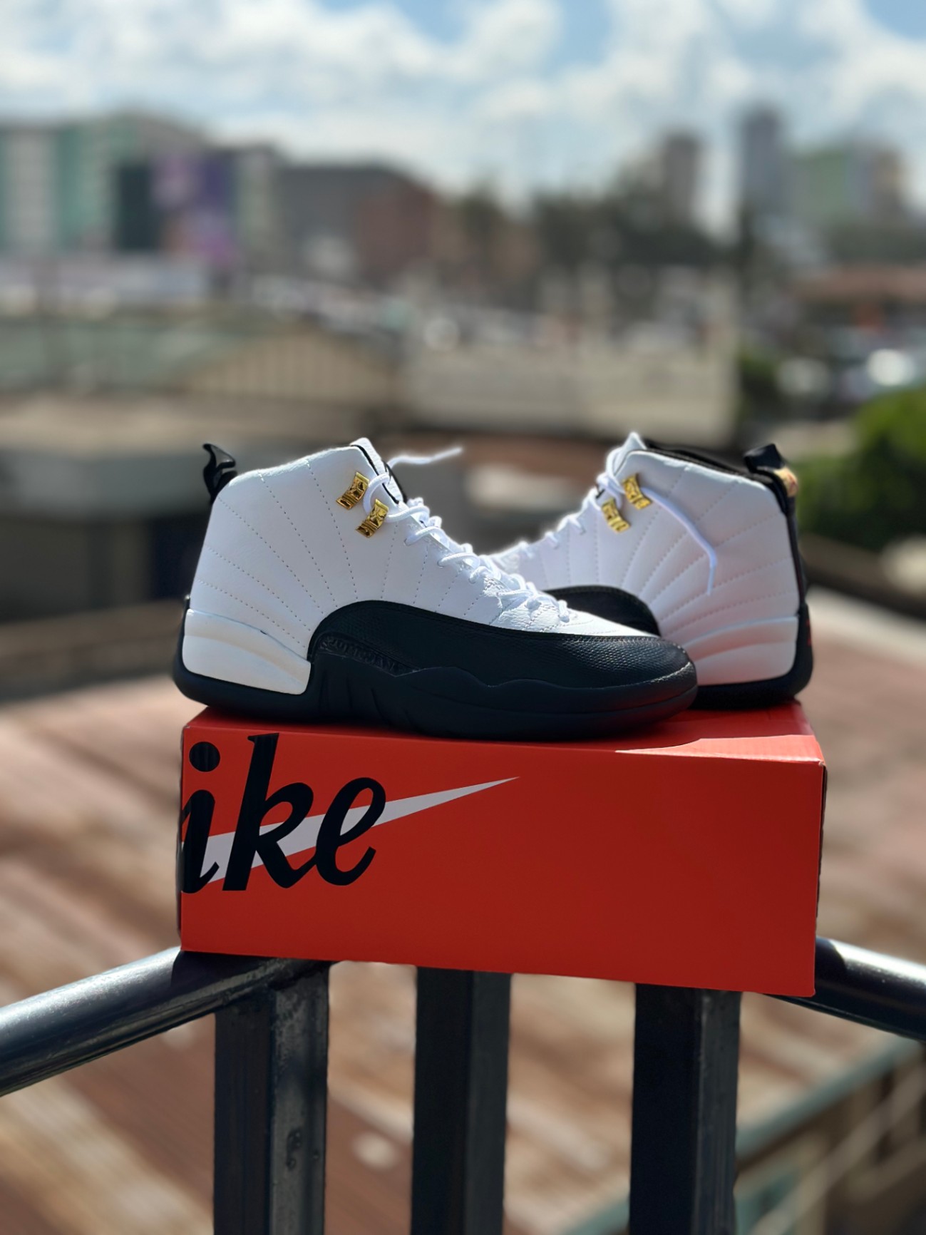 Air Jordan 12 Retro 'Royalty'