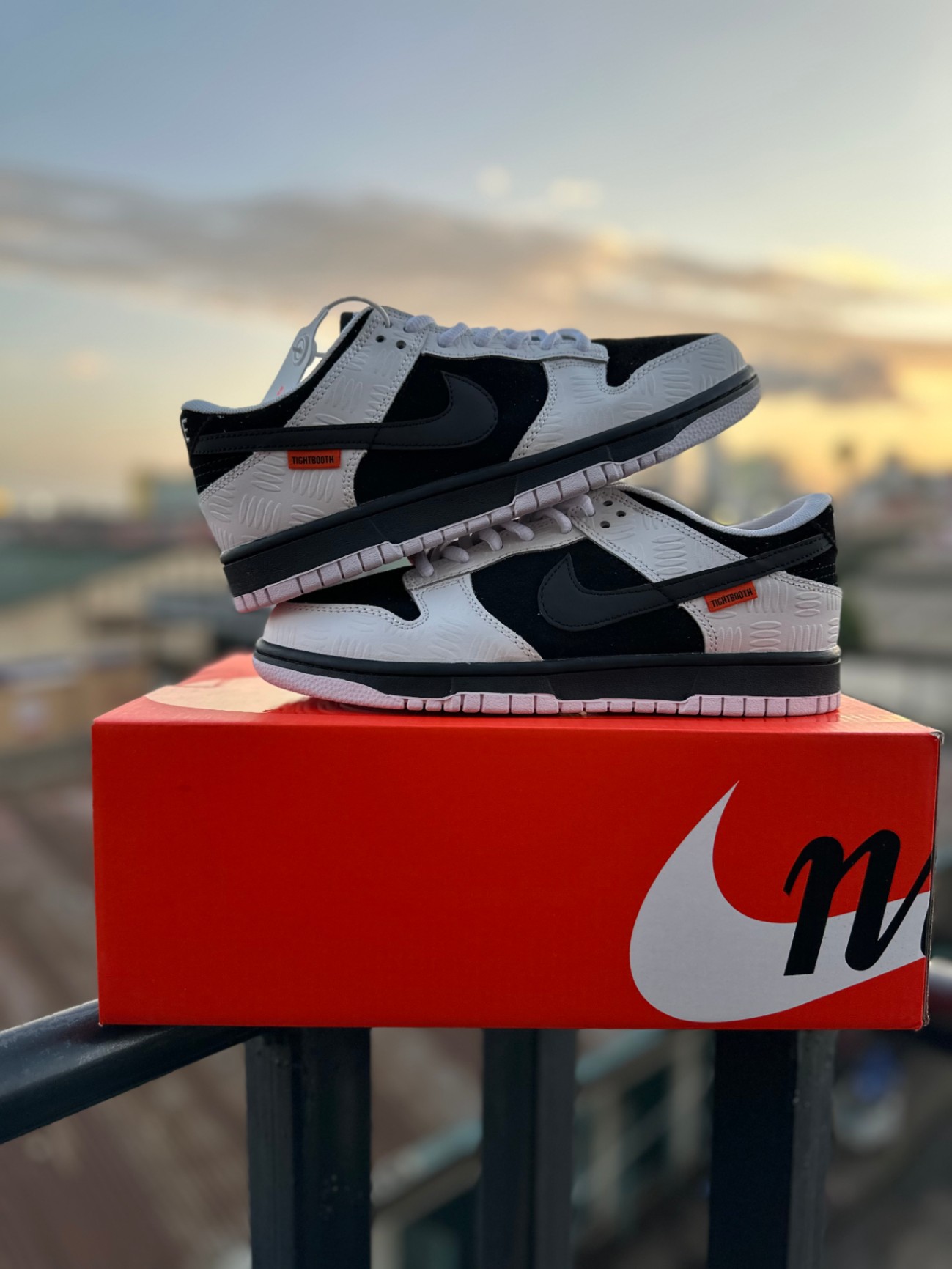 TIGHTBOOTH x Nike SB Dunk Low Pro